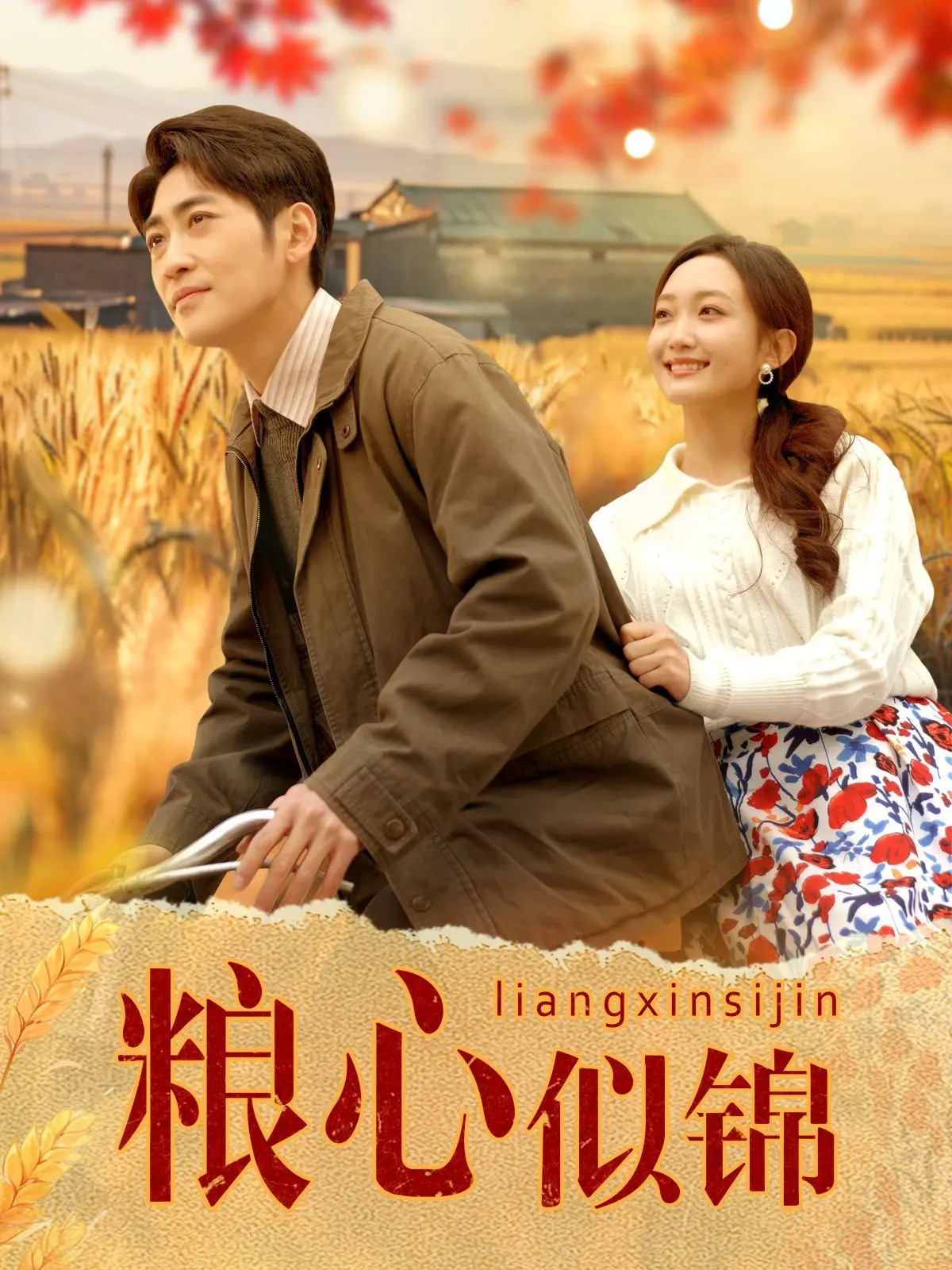 《粮心似锦》：一部触动灵魂的粮食题材史诗，揭秘中国粮食背后的温情与坚守