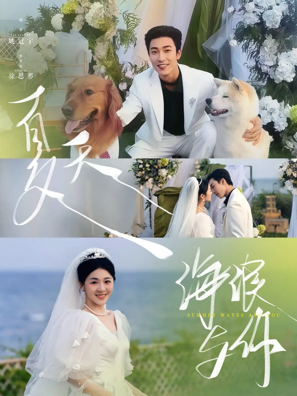 《夏天海浪与你》：一场关于爱与救赎的夏日恋歌，浪花下的秘密等你揭晓！