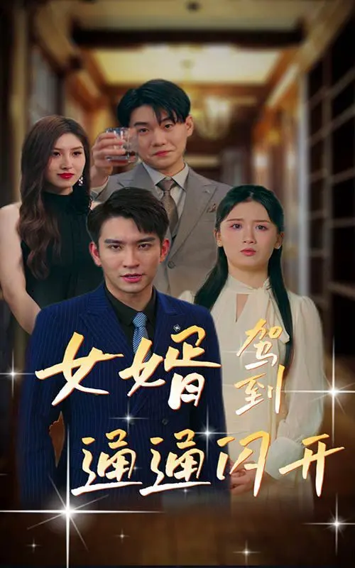 《女婿驾到通通闪开》：爆笑来袭！看废柴女婿如何逆袭打脸，笑到飙泪的家庭喜剧
