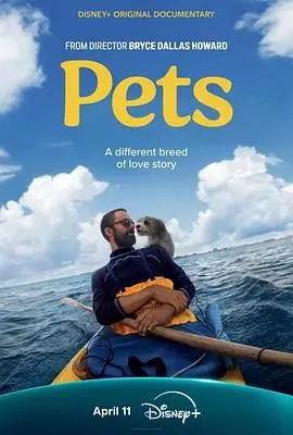 《宠·Pets》：当城市小孩遇上流浪动物，一场关于爱与救赎的奇幻漂流！