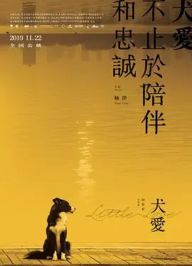 《犬爱》：一部让人心碎的剧情片，网友：这就是‘印度的女儿’真实写照！