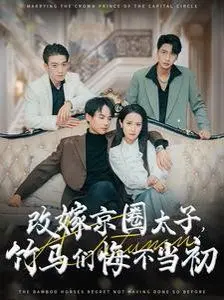 《改嫁京圈太子竹马们悔不当初》：穿越逆袭爽剧！昔日备胎变万人迷，京圈太子跪求复合！
